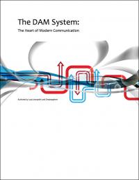 The DAM System